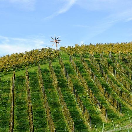 ホテル Weingut Zirngast ロイトシャッハ エクステリア 写真