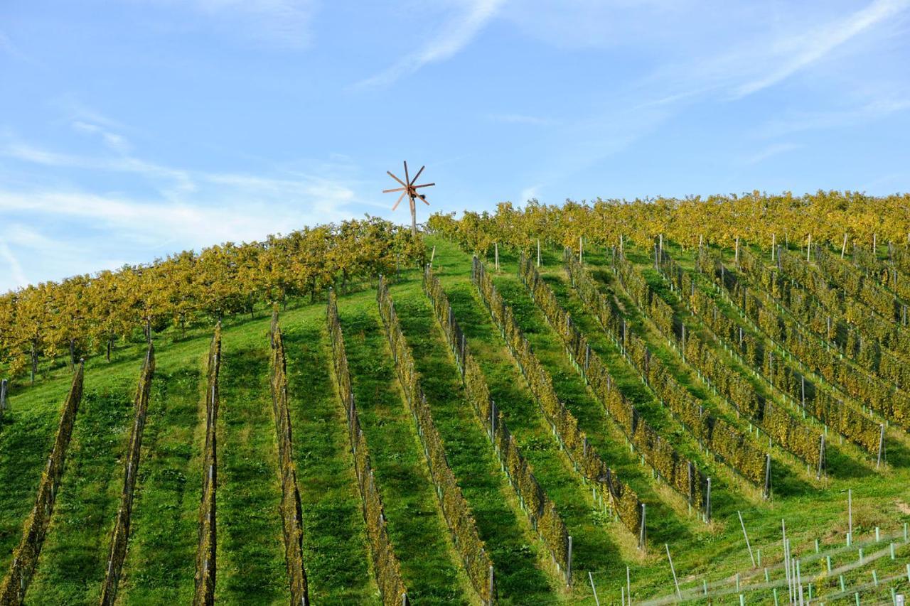 ホテル Weingut Zirngast ロイトシャッハ エクステリア 写真