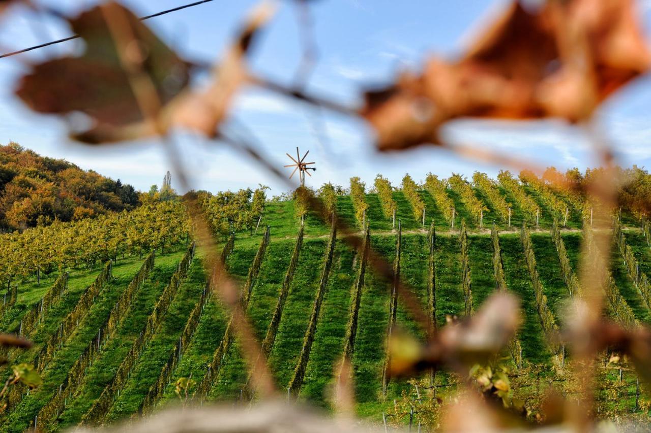 ホテル Weingut Zirngast ロイトシャッハ エクステリア 写真